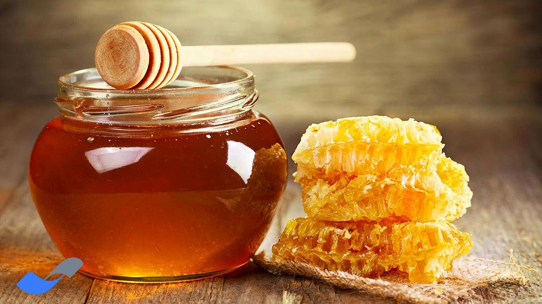 همه آنچه درباره عسل باید بدانیم