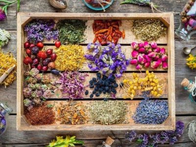 تولید ۲۴ هزار تُن گیاهان دارویی، گلاب و عرقیات استان اصفهان