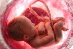 نجات ۱۷۰ جنین در معرض خطر سقط توسط «انجمن نفس اصفهان»