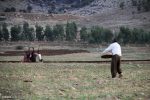 ۳۰ درصد اراضی کشاورزی شرق اصفهان زیرکشت محصول رفته است