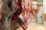 اصفهان در تولید شیر، تخم‌مرغ و گوشت بوقلمون جایگاه اول را دارد