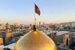 اینفوگرافی| امام رضا (ع) عالم آل محمد(ص)