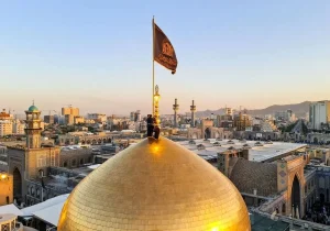 اینفوگرافی| امام رضا (ع) عالم آل محمد(ص)