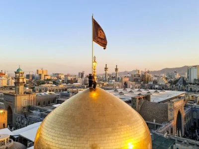 اینفوگرافی| امام رضا (ع) عالم آل محمد(ص)