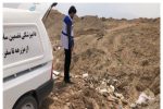 معدوم سازی بالغ بر ۱۸۰ کیلوگرم تخم مرغ با شرایط ارگانولپتیک نامناسب در شهرستان آران و بیدگل