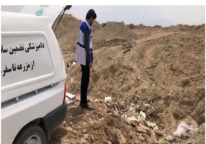 معدوم سازی بالغ بر ۱۸۰ کیلوگرم تخم مرغ با شرایط ارگانولپتیک نامناسب در شهرستان آران و بیدگل