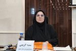 تلاش سازمان بهزیستی بر تامین نیازهای شهروندان به ویژه افراد آسیب‌پذیر و خانواده‌ها