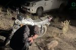 شناسایی و دستگیری دو متخلف شکار آهو در پارک ملی موته