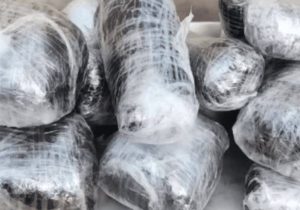 حمل ترياک در پوشش مسافرت خانوادگي