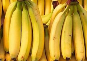 کشف محموله موز ۴۳ تنی قاچاق در شهرضا