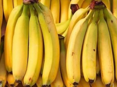 کشف محموله موز ۴۳ تنی قاچاق در شهرضا