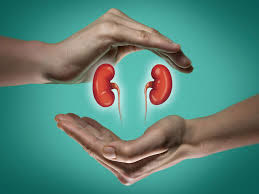 تامین هزینه ۹ پیوند کلیه با مشارکت خیریه ابوالفضل(ع) برای بیماران تحت حمایت