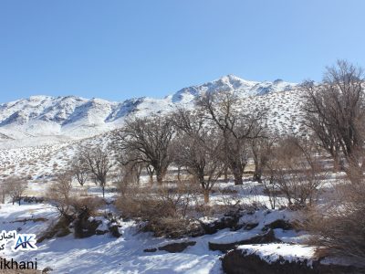 تصاویر| چشم نوازی طبیعت برفی در مناطق سردسیری کوهپایه
