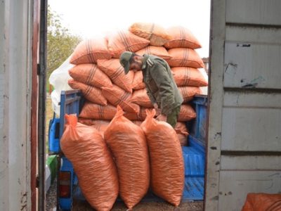 کشف ۱۳ میلیاردی بادام هندی قاچاق در شاهین‌شهر