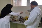 اجرای طرح بررسی آلودگی کرمی دستگاه گوارش گوسفند و بز در چهار شهرستان استان اصفهان