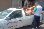 توقیف بیش از هزار کیلوگرم گوشت قرمز در شهرستان کاشان
