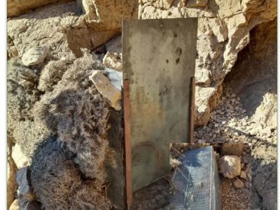 دستگیری گروه متخلف صید غیرمجاز حیات وحش در دهاقان